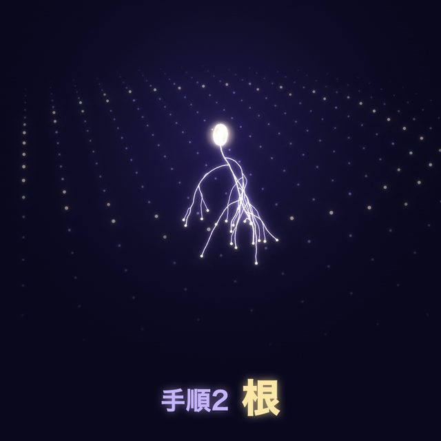 種から花が咲くまで、5つの手順 — おけもん版（お手本：手順どおりに育つ、光る曲線）の一場面